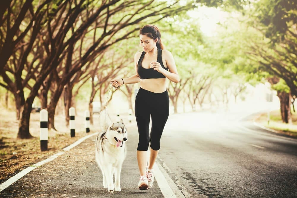 Image-Keep Your Dog Fit and Healthy