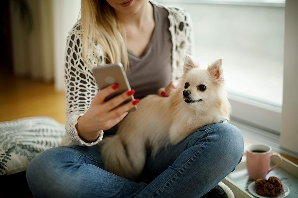 Top 10 Pet Apps 2019