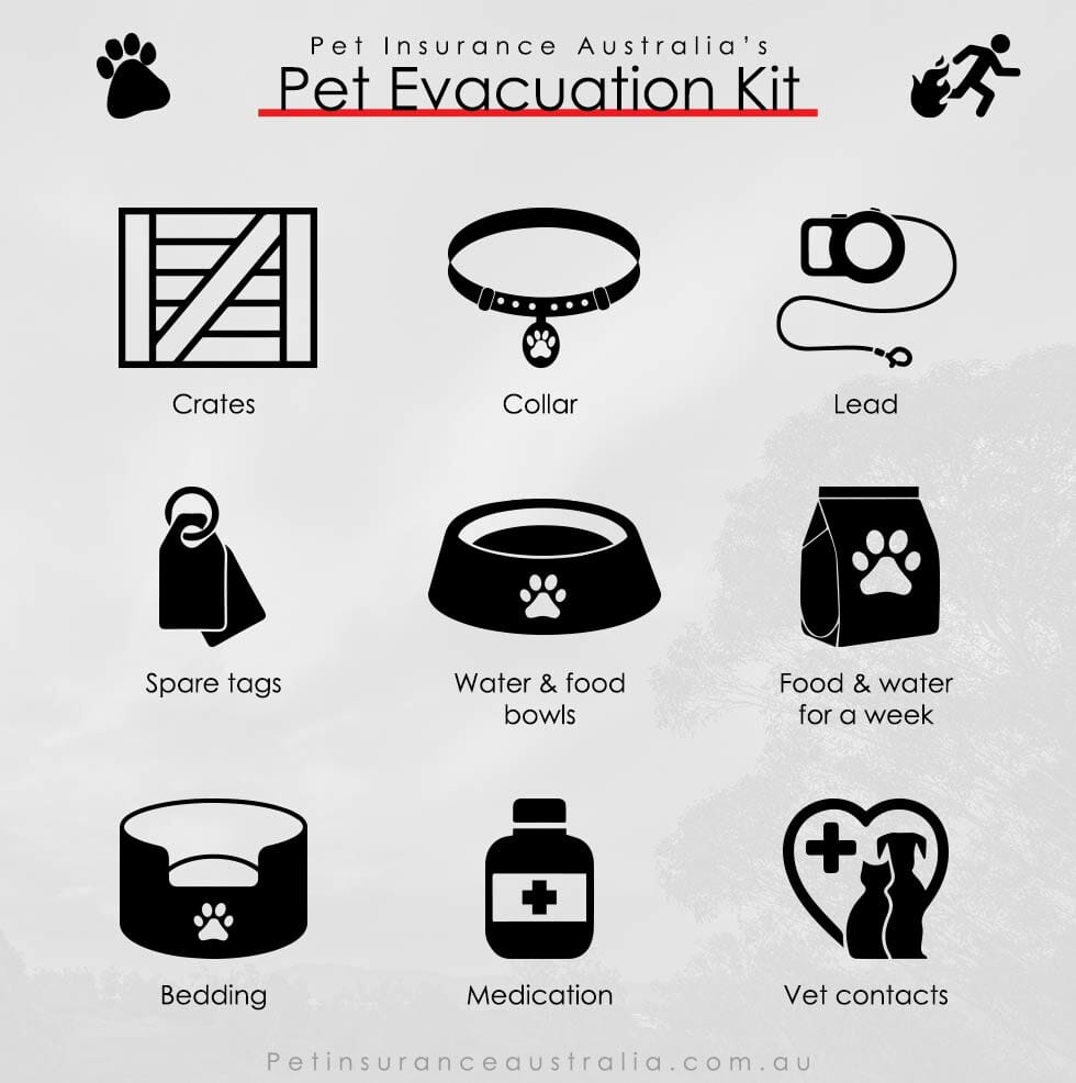 Infographic fire checklist