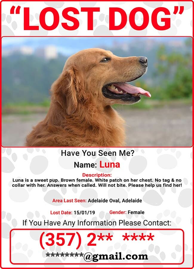 lost pet poster