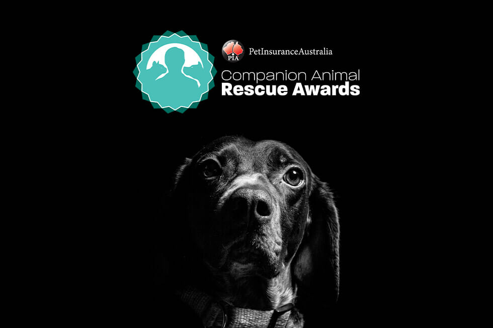 2021 rescue awards