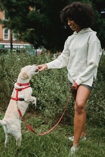 Pet Photography