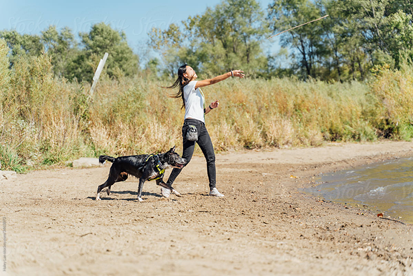 Fetch dog trick