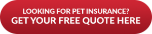 Pet Insurance Australia Free quote 