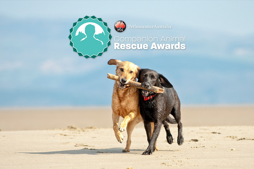2022 rescue awards