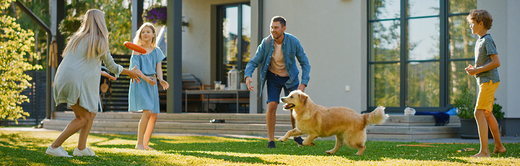 people playing with dog