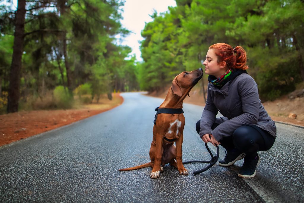 rhodesian ridgeback and lady