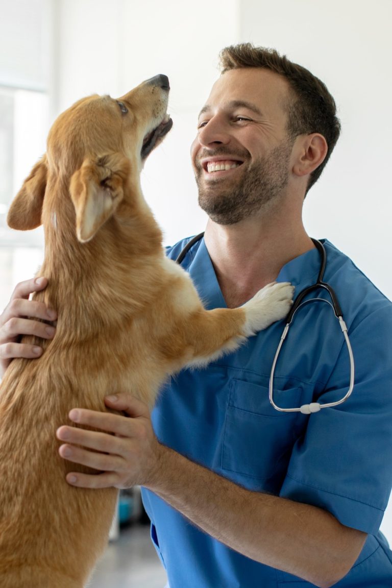 Pet Insurance Australia Get 2 Months Free* AwardWinning Pet Insurance