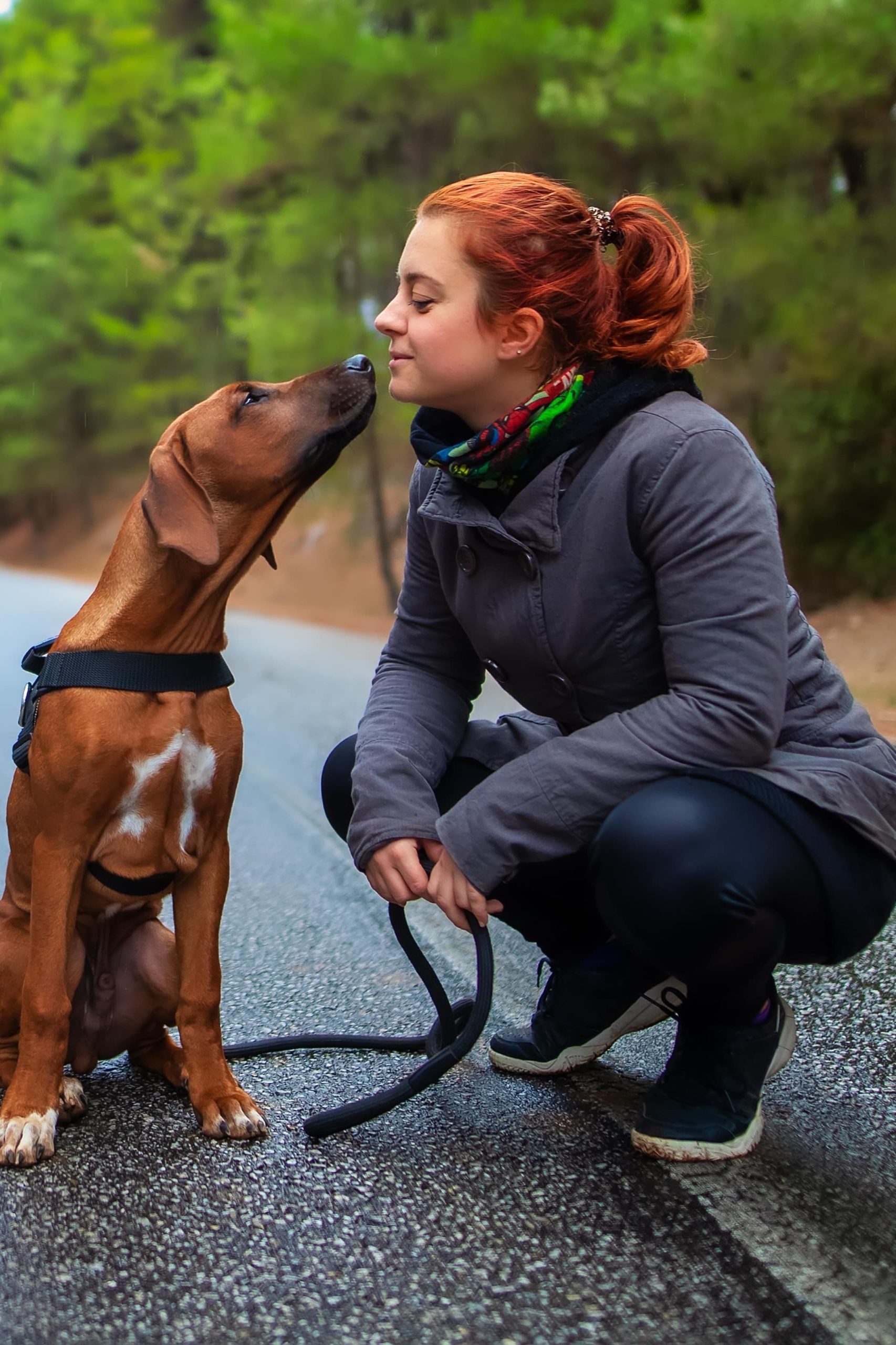 rhodesian ridgeback and lady