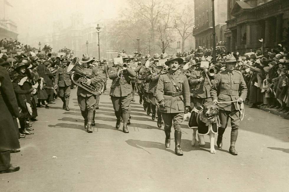 anzac day dogs