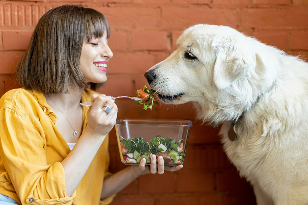 feeding pets human food