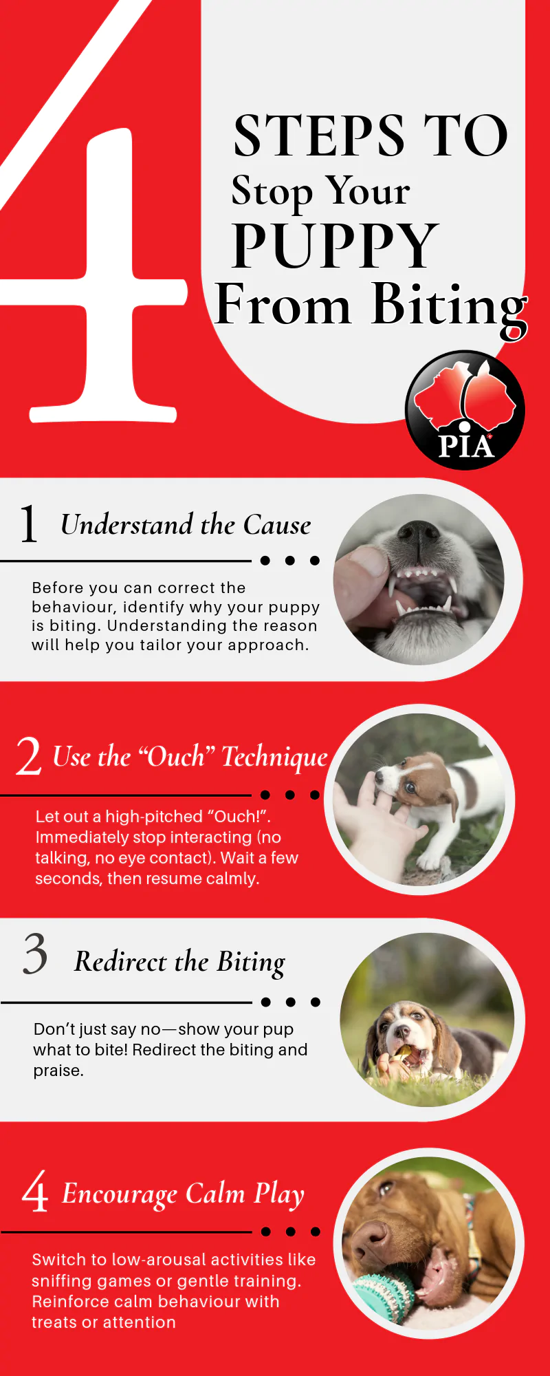 How to Teach Your Puppy to Stop Biting: A Step-by-Step Guide