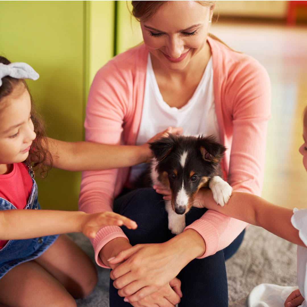 Early Puppy Socialisation