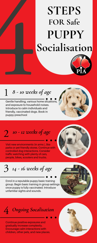 socalisation Pet Insurance Australia Training
