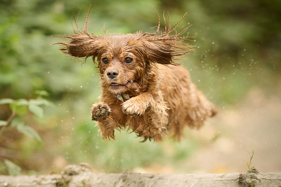national tick awareness