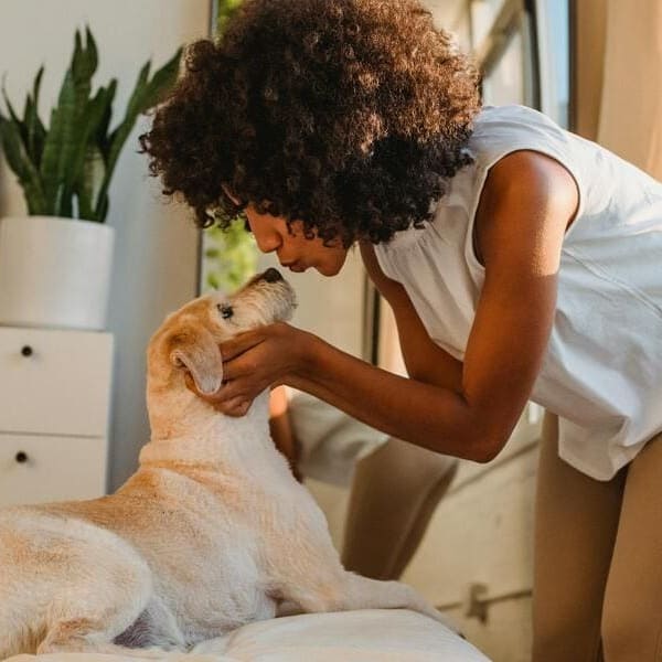 sarah labrador moose2.jpg