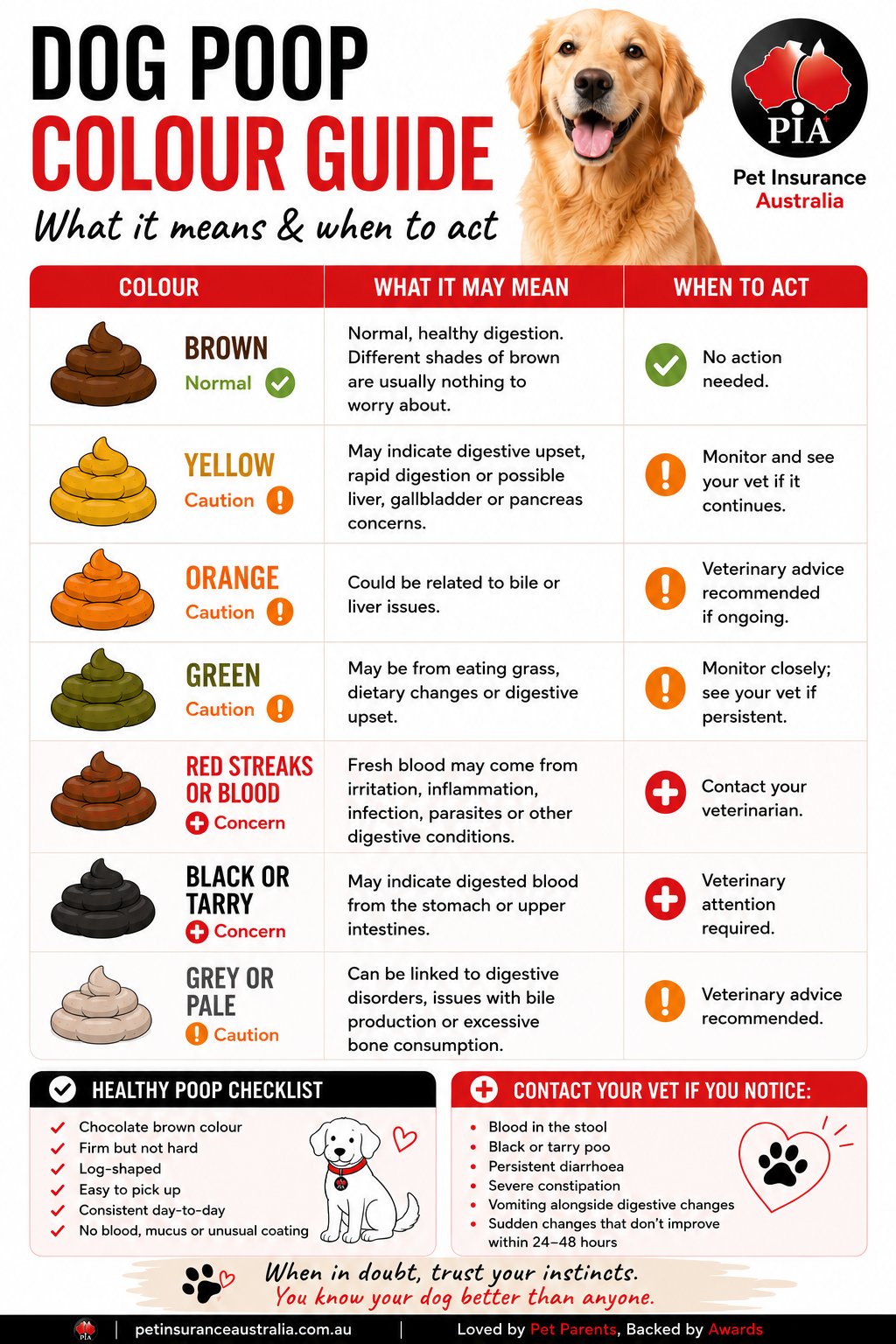 02 Dog Poop Colour Guide