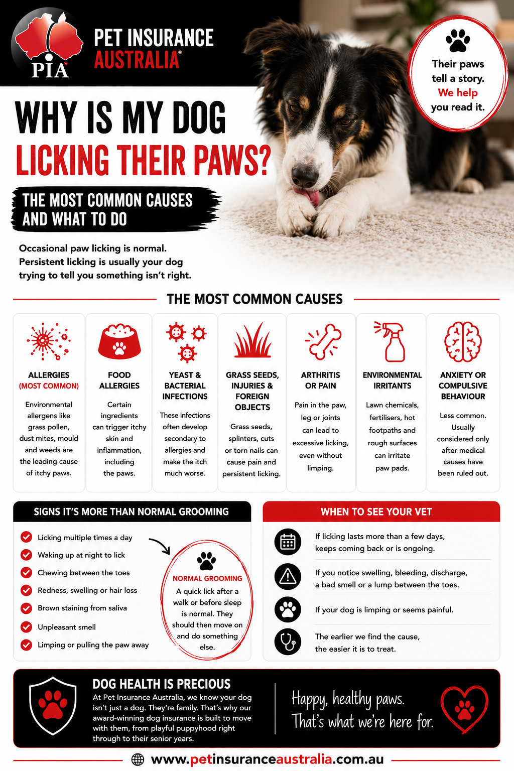 Infogram Infogram